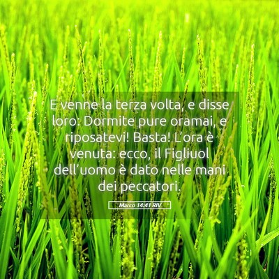 Picture 05 - Marco 14:41 RIV - E venne la terza volta, e disse loro: Dormite - Bible Verse Picture