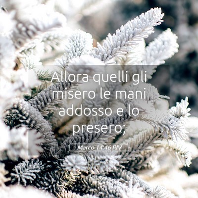 Picture 05 - Marco 14:46 RIV - Allora quelli gli misero le mani addosso e lo - Bible Verse Picture