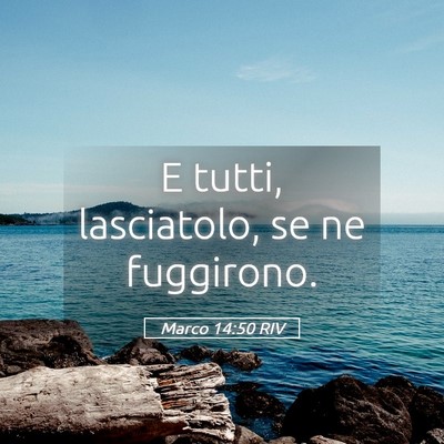 Picture 05 - Marco 14:50 RIV - E tutti, lasciatolo, se ne - Bible Verse Picture