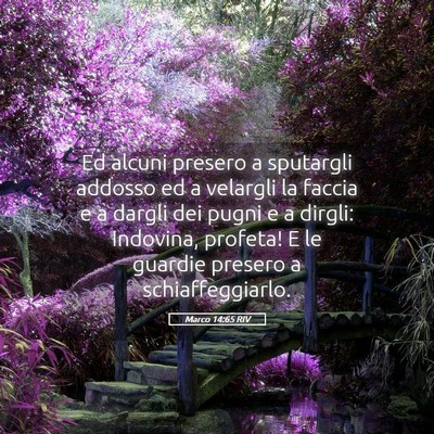 Picture 05 - Marco 14:65 RIV - Ed alcuni presero a sputargli addosso ed a - Bible Verse Picture