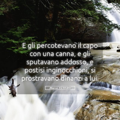 Picture 05 - Marco 15:19 RIV - E gli percotevano il capo con una canna, e gli - Bible Verse Picture