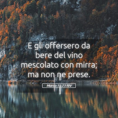 Picture 05 - Marco 15:23 RIV - E gli offersero da bere del vino mescolato con - Bible Verse Picture