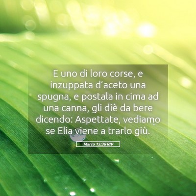 Picture 05 - Marco 15:36 RIV - E uno di loro corse, e inzuppata d’aceto una - Bible Verse Picture