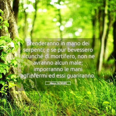 Picture 05 - Marco 16:18 RIV - prenderanno in mano dei serpenti; e se pur - Bible Verse Picture