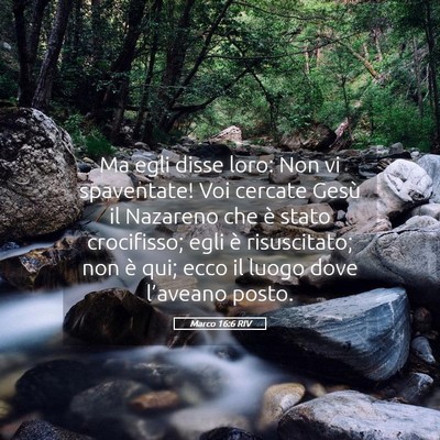 Picture 05 - Marco 16:6 RIV - Ma egli disse loro: Non vi spaventate! Voi - Bible Verse Picture