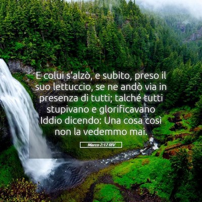 Picture 05 - Marco 2:12 RIV - E colui s’alzò, e subito, preso il suo - Bible Verse Picture