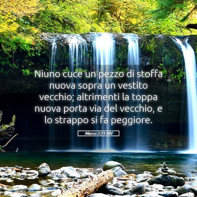 Picture 05 - Marco 2:21 RIV - Niuno cuce un pezzo di stoffa nuova sopra un - Bible Verse Picture