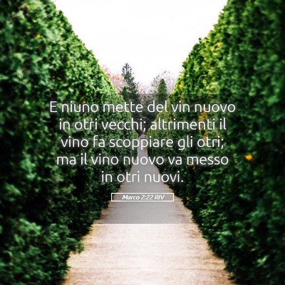 Picture 05 - Marco 2:22 RIV - E niuno mette del vin nuovo in otri vecchi; - Bible Verse Picture