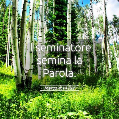 Picture 05 - Marco 4:14 RIV - Il seminatore semina la - Bible Verse Picture