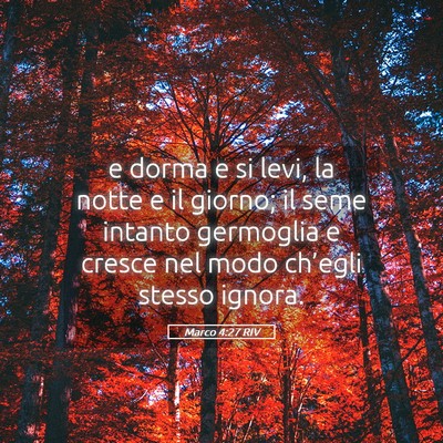 Picture 05 - Marco 4:27 RIV - e dorma e si levi, la notte e il giorno; il seme - Bible Verse Picture