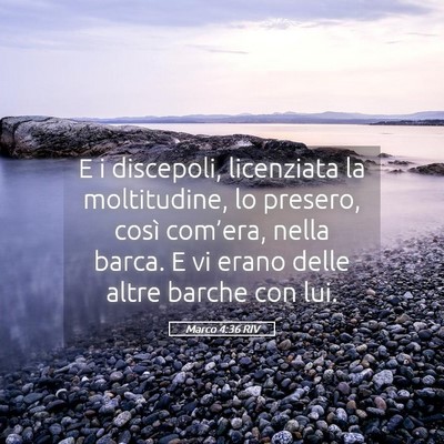 Picture 05 - Marco 4:36 RIV - E i discepoli, licenziata la moltitudine, lo - Bible Verse Picture