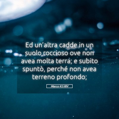 Picture 05 - Marco 4:5 RIV - Ed un’altra cadde in un suolo roccioso ove non - Bible Verse Picture