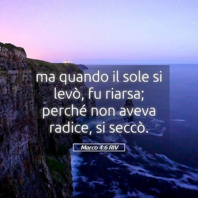 Picture 05 - Marco 4:6 RIV - ma quando il sole si levò, fu riarsa; perché - Bible Verse Picture