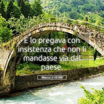 Picture 05 - Marco 5:10 RIV - E lo pregava con insistenza che non li mandasse - Bible Verse Picture