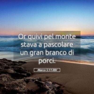 Picture 05 - Marco 5:11 RIV - Or quivi pel monte stava a pascolare un gran - Bible Verse Picture