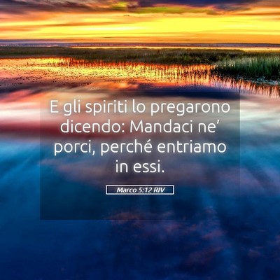 Picture 05 - Marco 5:12 RIV - E gli spiriti lo pregarono dicendo: Mandaci ne’ - Bible Verse Picture