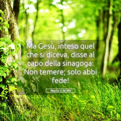 Picture 05 - Marco 5:36 RIV - Ma Gesù, inteso quel che si diceva, disse al - Bible Verse Picture