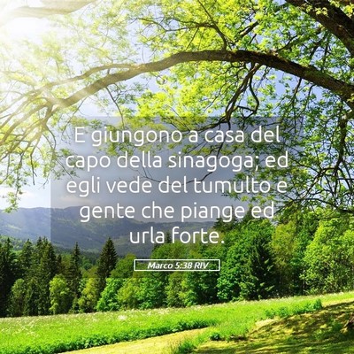 Picture 05 - Marco 5:38 RIV - E giungono a casa del capo della sinagoga; ed - Bible Verse Picture
