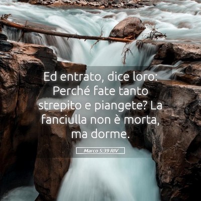 Picture 05 - Marco 5:39 RIV - Ed entrato, dice loro: Perché fate tanto - Bible Verse Picture
