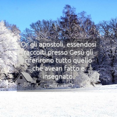 Picture 05 - Marco 6:30 RIV - Or gli apostoli, essendosi raccolti presso Gesù - Bible Verse Picture