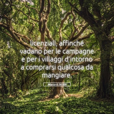 Picture 05 - Marco 6:36 RIV - licenziali, affinché vadano per le campagne e - Bible Verse Picture