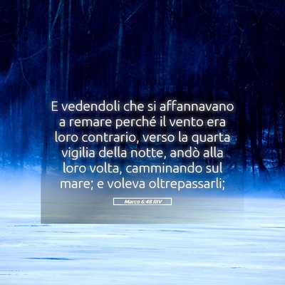 Picture 05 - Marco 6:48 RIV - E vedendoli che si affannavano a remare perché - Bible Verse Picture