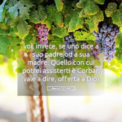 Picture 05 - Marco 7:11 RIV - voi, invece, se uno dice a suo padre od a sua - Bible Verse Picture