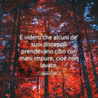 Picture 05 - Marco 7:2 RIV - E videro che alcuni de’ suoi discepoli - Bible Verse Picture