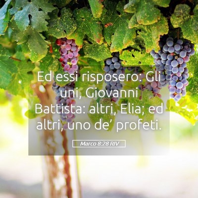 Picture 05 - Marco 8:28 RIV - Ed essi risposero: Gli uni, Giovanni Battista: - Bible Verse Picture