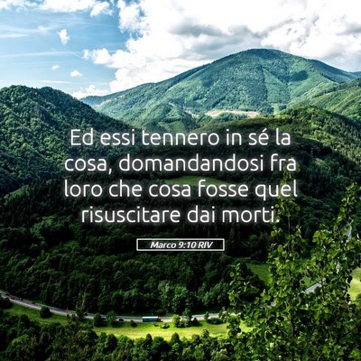 Picture 05 - Marco 9:10 RIV - Ed essi tennero in sé la cosa, domandandosi fra - Bible Verse Picture