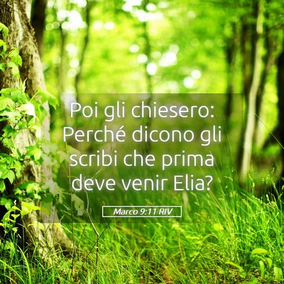 Picture 05 - Marco 9:11 RIV - Poi gli chiesero: Perché dicono gli scribi che - Bible Verse Picture