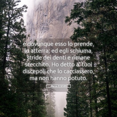 Picture 05 - Marco 9:18 RIV - e dovunque esso lo prende, lo atterra; ed egli - Bible Verse Picture
