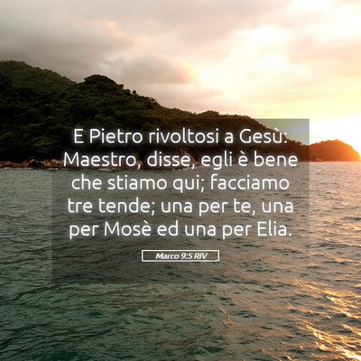 Picture 05 - Marco 9:5 RIV - E Pietro rivoltosi a Gesù: Maestro, disse, egli - Bible Verse Picture