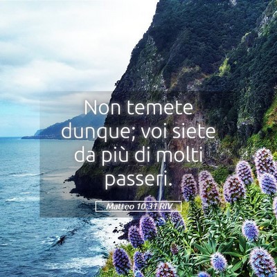 Picture 05 - Matteo 10:31 RIV - Non temete dunque; voi siete da più di molti - Bible Verse Picture
