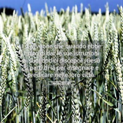 Picture 05 - Matteo 11:1 RIV - Ed avvenne che quando ebbe finito di dar le sue - Bible Verse Picture