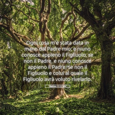 Picture 05 - Matteo 11:27 RIV - Ogni cosa m’è stata data in mano dal Padre - Bible Verse Picture
