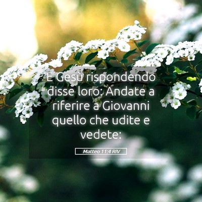 Picture 05 - Matteo 11:4 RIV - E Gesù rispondendo disse loro: Andate a riferire - Bible Verse Picture