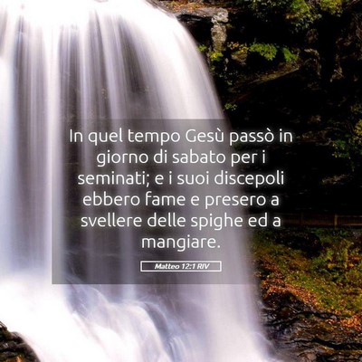 Picture 05 - Matteo 12:1 RIV - In quel tempo Gesù passò in giorno di sabato - Bible Verse Picture