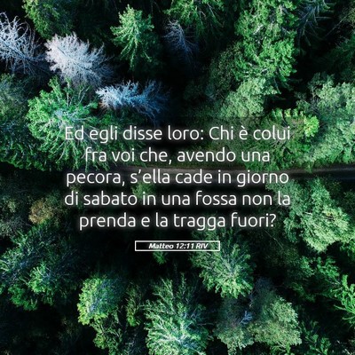 Picture 05 - Matteo 12:11 RIV - Ed egli disse loro: Chi è colui fra voi che, - Bible Verse Picture