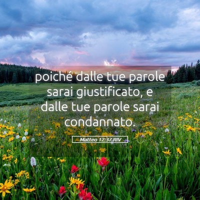 Picture 05 - Matteo 12:37 RIV - poiché dalle tue parole sarai giustificato, e - Bible Verse Picture
