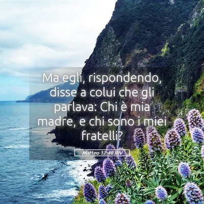Picture 05 - Matteo 12:48 RIV - Ma egli, rispondendo, disse a colui che gli - Bible Verse Picture
