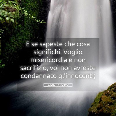 Picture 05 - Matteo 12:7 RIV - E se sapeste che cosa significhi: Voglio - Bible Verse Picture