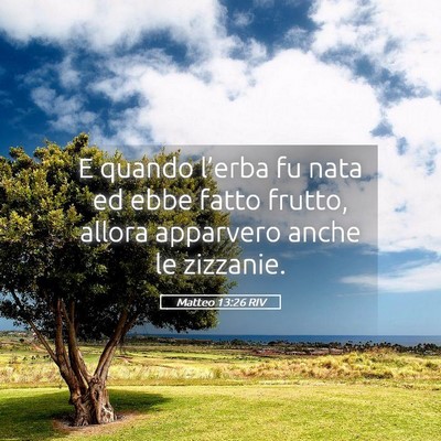 Picture 05 - Matteo 13:26 RIV - E quando l’erba fu nata ed ebbe fatto frutto, - Bible Verse Picture