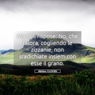 Picture 05 - Matteo 13:29 RIV - Ma egli rispose: No, che talora, cogliendo le - Bible Verse Picture