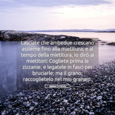 Picture 05 - Matteo 13:30 RIV - Lasciate che ambedue crescano assieme fino alla - Bible Verse Picture