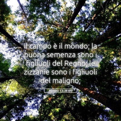 Picture 05 - Matteo 13:38 RIV - il campo è il mondo; la buona semenza sono i - Bible Verse Picture