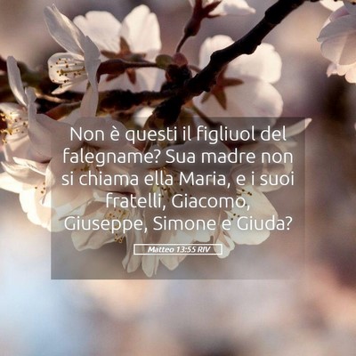 Picture 05 - Matteo 13:55 RIV - Non è questi il figliuol del falegname? Sua - Bible Verse Picture