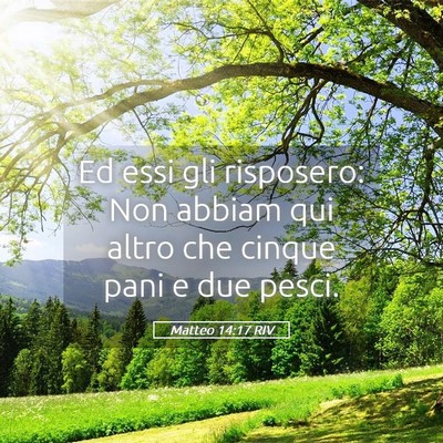 Picture 05 - Matteo 14:17 RIV - Ed essi gli risposero: Non abbiam qui altro che - Bible Verse Picture