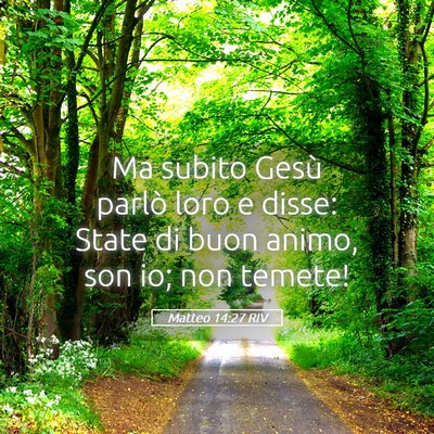 Picture 05 - Matteo 14:27 RIV - Ma subito Gesù parlò loro e disse: State di - Bible Verse Picture