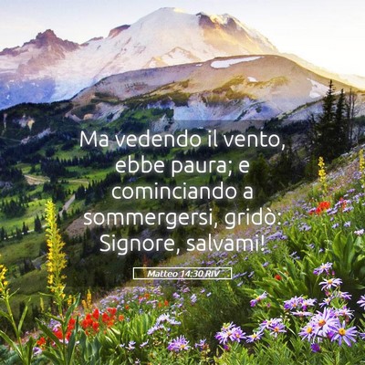 Picture 05 - Matteo 14:30 RIV - Ma vedendo il vento, ebbe paura; e cominciando a - Bible Verse Picture